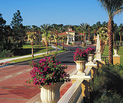 The Road into Emerald Island